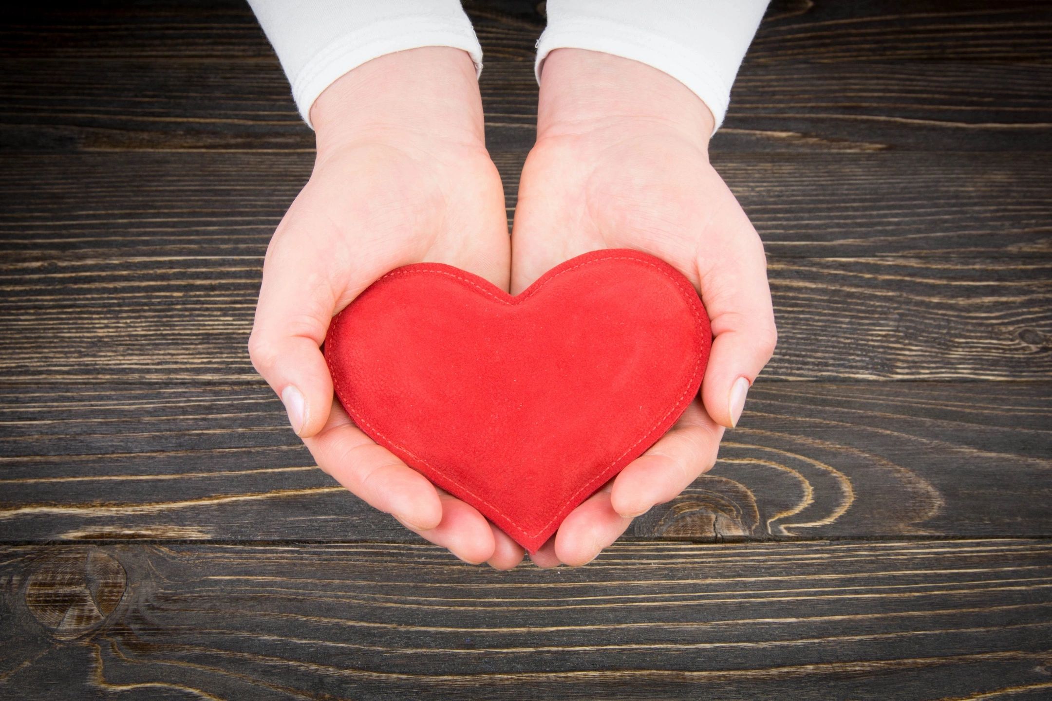 Person holding plush heart in hands